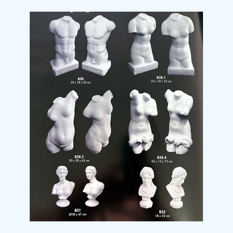 Torsos y bustos